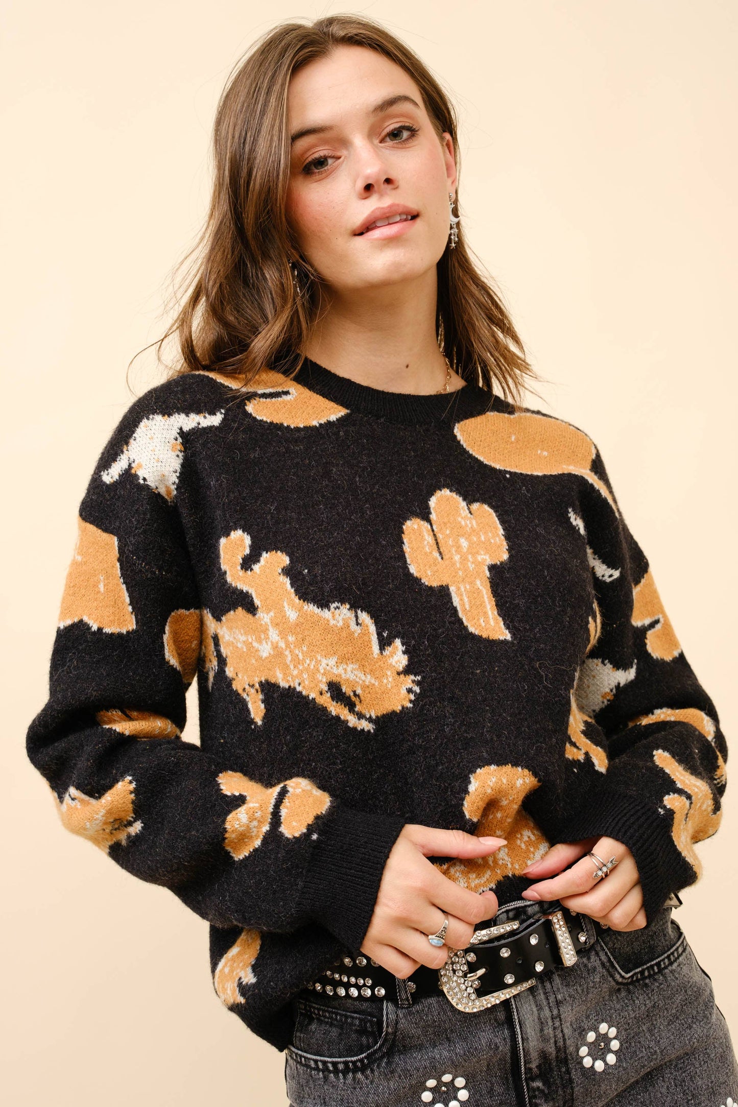 Wild Ride Western Motif Sweater